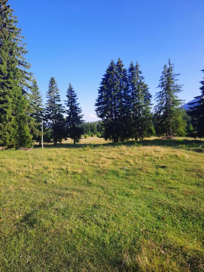 Etno House Momcilo Villa Žabljak Buitenkant foto