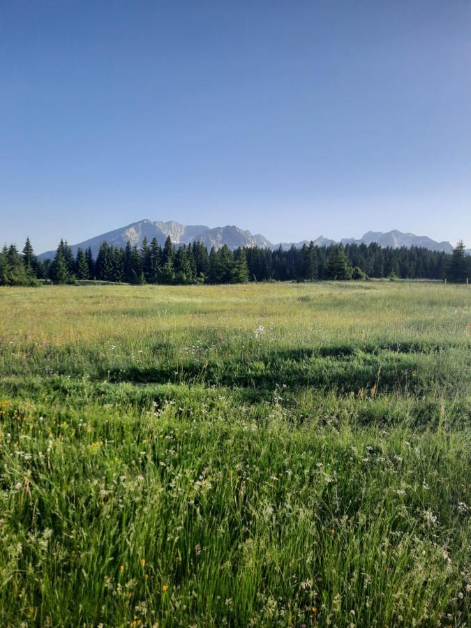 Etno House Momcilo Villa Žabljak Buitenkant foto